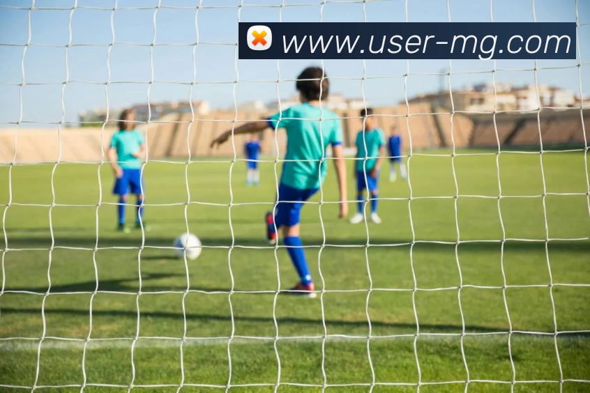 满冠体育平台生态图